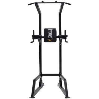 Everlast chin up bar sale